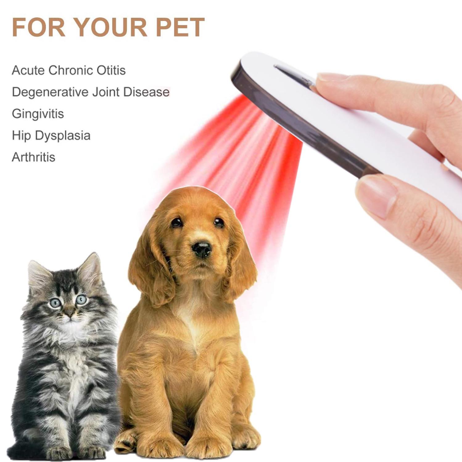 Pet  Red Light Laser Therapy 