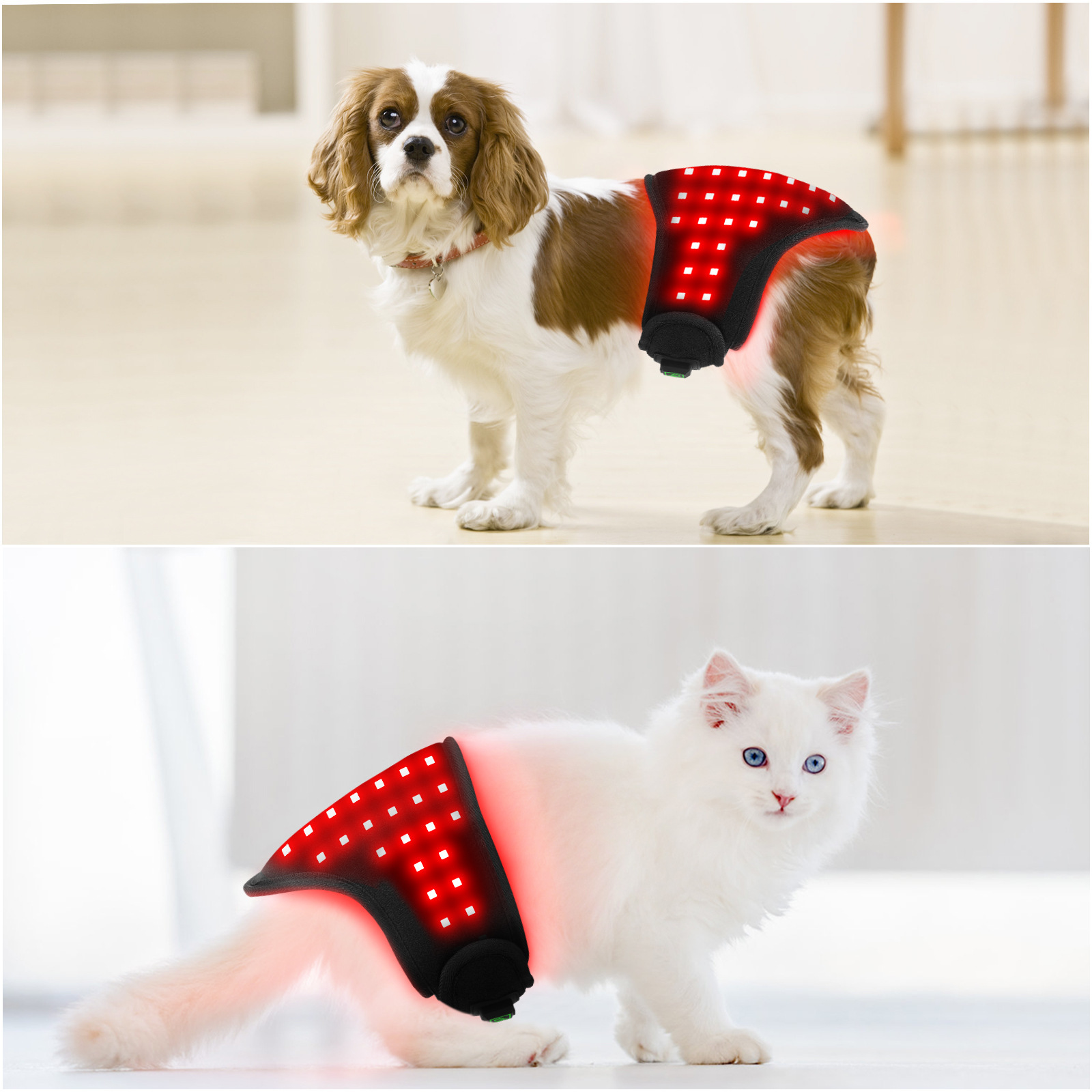 Pet Infrared Light Therapy Device Belt