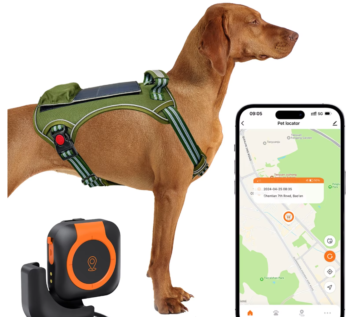 Pet  GPS Tracker 