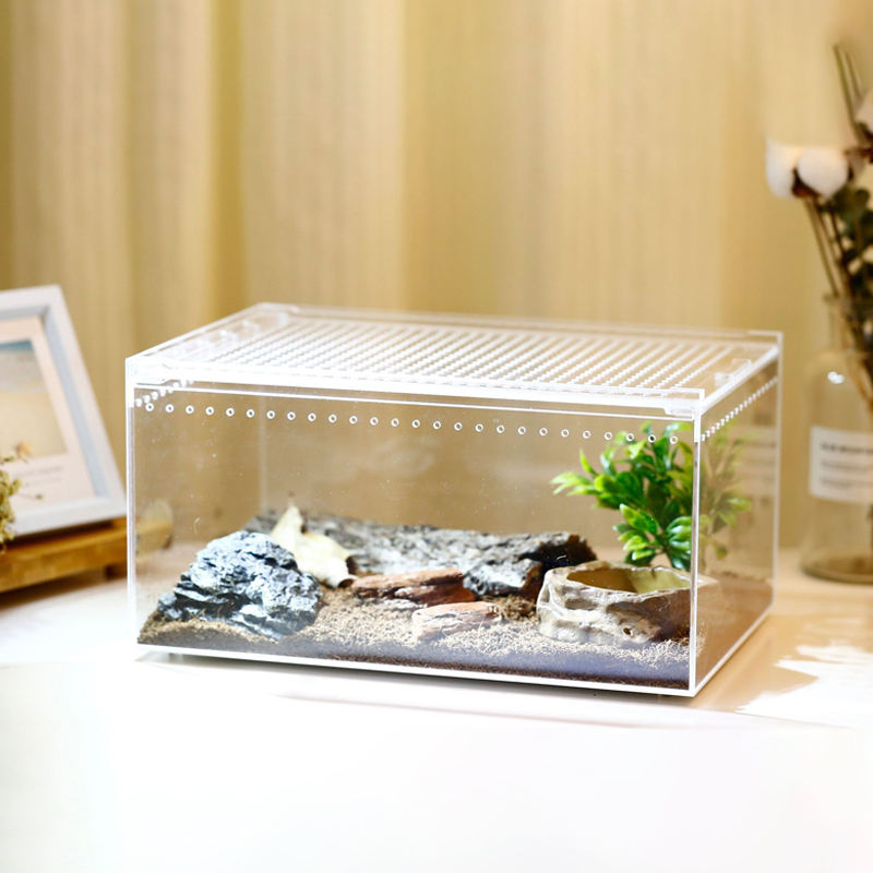 Acrylic  Reptile Breeding Box