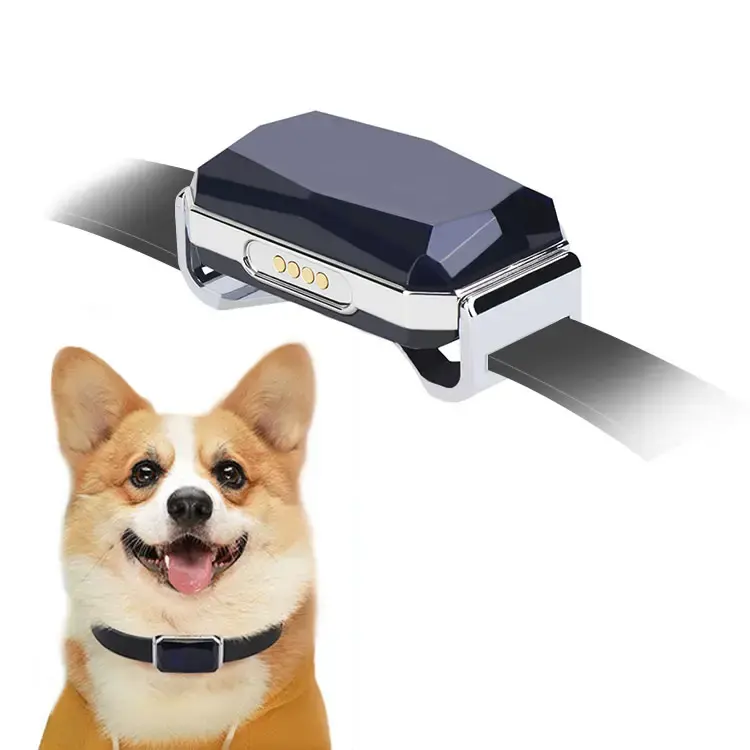 Pet Smart Gps tracker