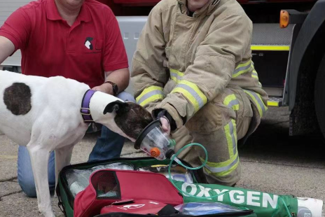 Pet Oxygen Mask - Professional Medical Device for Animal Respiratory Support‌